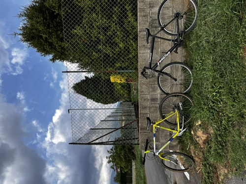 Ritrovamento Biciclette